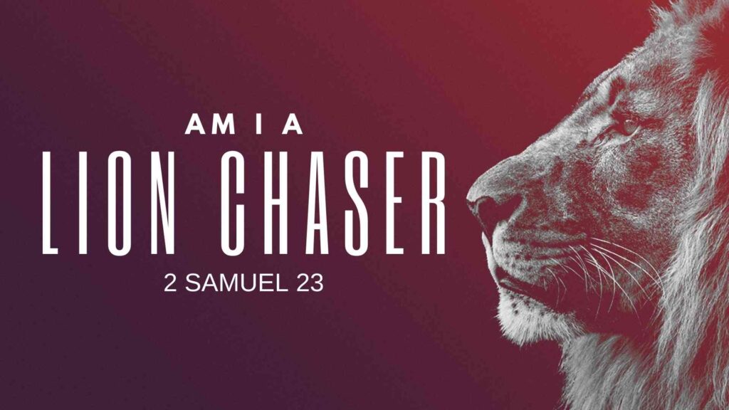 Am I A Lion Chaser